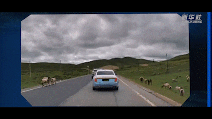 6405.gif